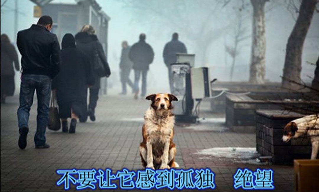 酒泉酒泉爱影圈微博微信转发案例